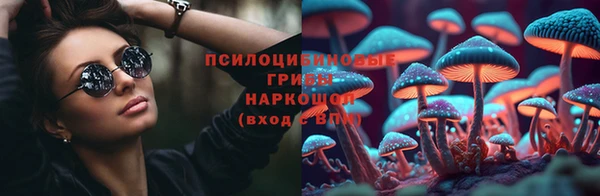 apvp Белокуриха