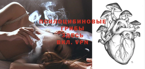 COCAINE Богородицк