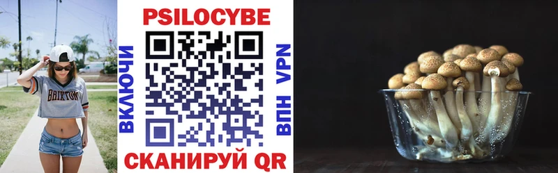 Галлюциногенные грибы Cubensis  Верхнеуральск 